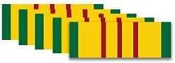 Vietnam War Veteran Large Service Riboon Decal/Bumper Sticker Multi-Pack (5) -Bruce Store 31mdG43ad8L. AC