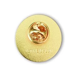 US Veteran Lapel Pin With American Flag - Military Hat Pins VetFriends.com -Bruce Store 41SNTaPexkL