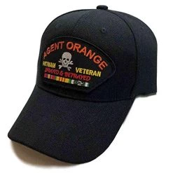Agent Orange Sprayed & Betrayed Vietnam Black Veteran Baseball Hat With Service Ribbons & Skull