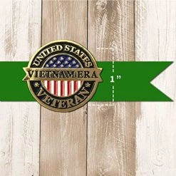 United States Vietnam Era Veteran Circle Lapel Pin With American Flag Graphic -Bruce Store 51NVKTmQUmL