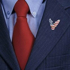 Bald Eagle Lapel Pin With American Flag Red White And Blue Enamel Paint And Feathers USA Freedom Patriot Army Navy Air Force Marines VetFriends.com -Bruce Store 51nZ4N0VRwL