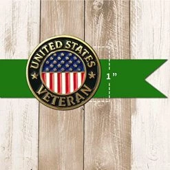 US Veteran Lapel Pin With American Flag - Military Hat Pins VetFriends.com -Bruce Store 51vEqtHPJBL