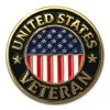 US Veteran Lapel Pin With American Flag - Military Hat Pins VetFriends.com