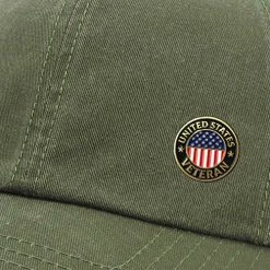 US Veteran Lapel Pin With American Flag - Military Hat Pins VetFriends.com -Bruce Store 61KqzJmmsxL