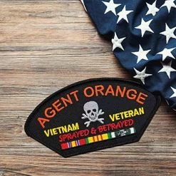 Vietnam Veteran W/Ribbons: Agent Orange Patch Licensed Military Apparel Patriotic Products Gifts For Veterans Families And Retired VetFriends.com -Bruce Store 61eBRjRmqLL